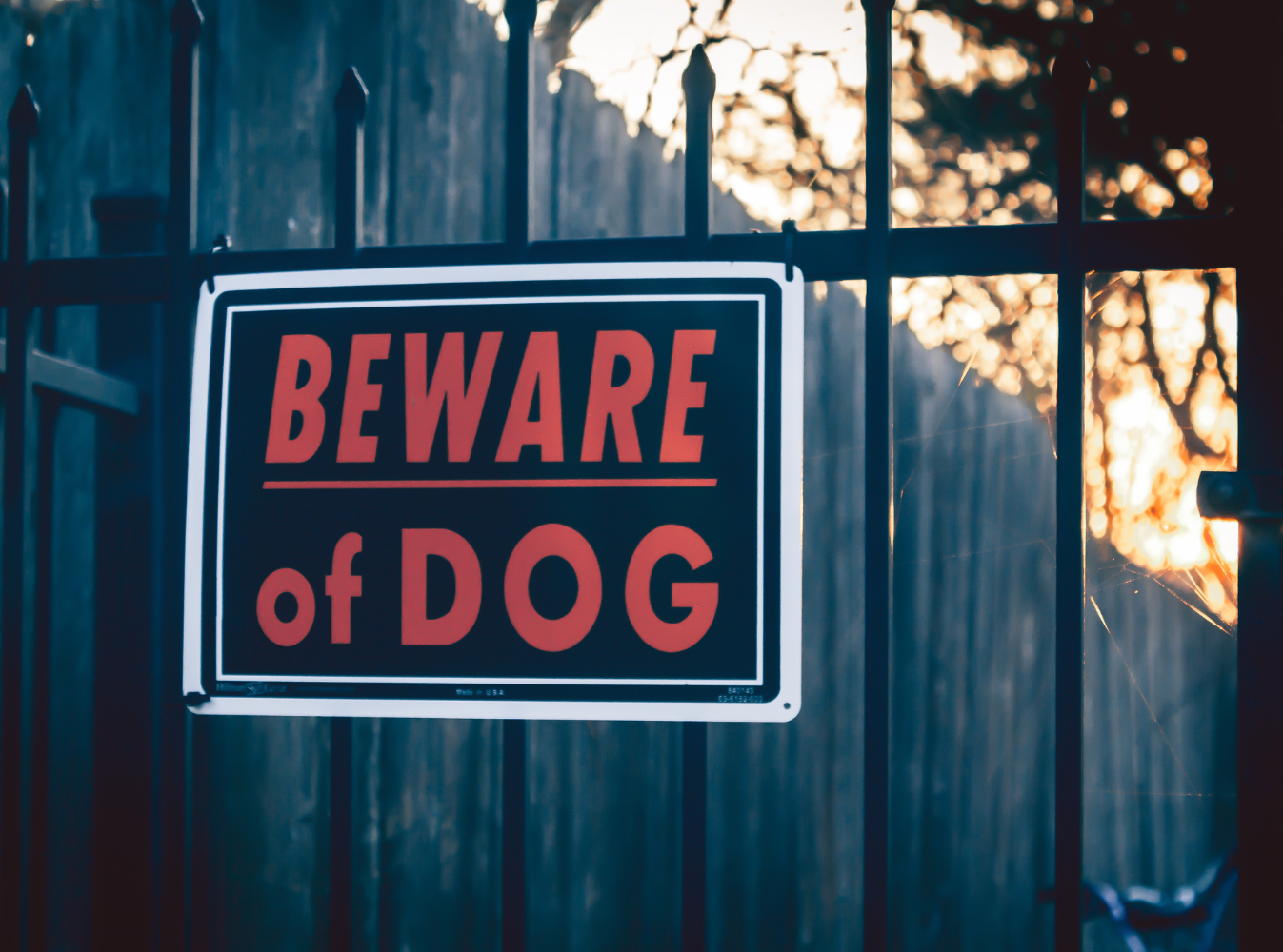 beware of dog sign